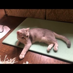 Meet your Posher, Yvonne